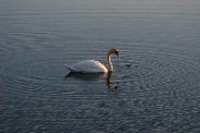 PictureOfTheMonth