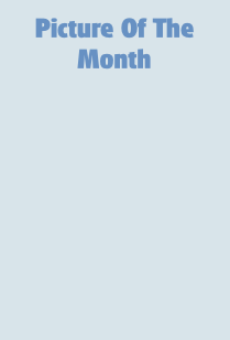 Picture Of The 
Month